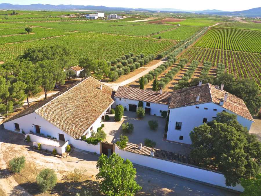 Que hacer en Valencia - Enoturismo en Utiel Requena
