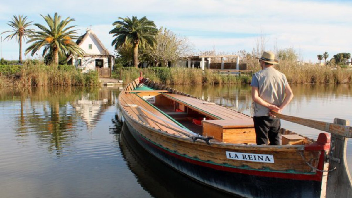 Que hacer en Valencia - Excursiones a la Albufera