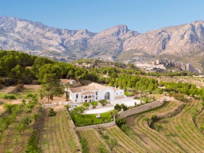 Enoturismo y Catas de vino en Alicante