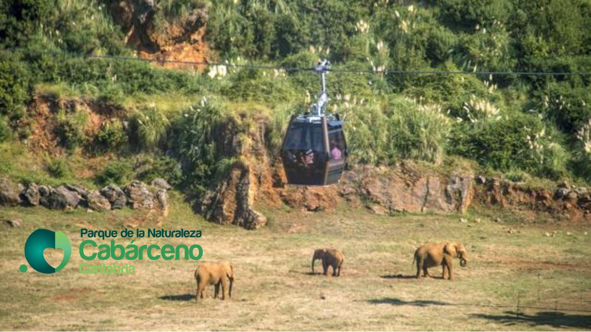 Parque Cabárceno - Animales en semilibertad