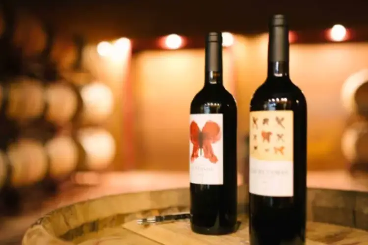 Bodegas El Regajal