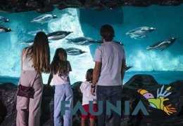 Parques temáticos Madrid 2026: cuál elegir, precios y mejores planes